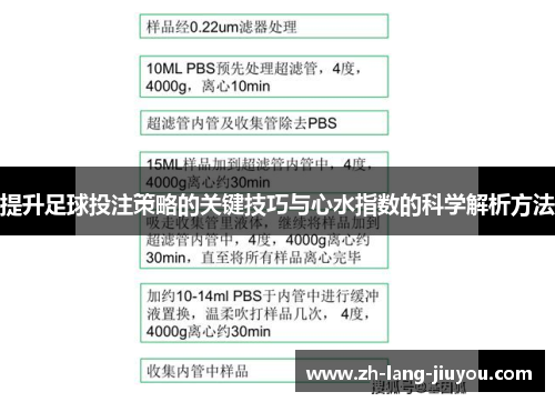 提升足球投注策略的关键技巧与心水指数的科学解析方法