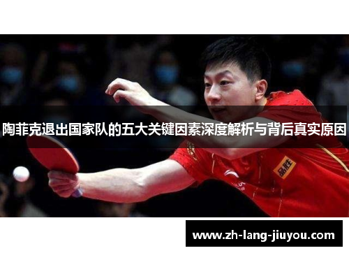 陶菲克退出国家队的五大关键因素深度解析与背后真实原因