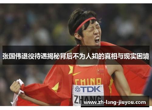 张国伟退役待遇揭秘背后不为人知的真相与现实困境