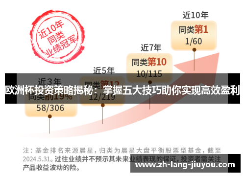 欧洲杯投资策略揭秘：掌握五大技巧助你实现高效盈利